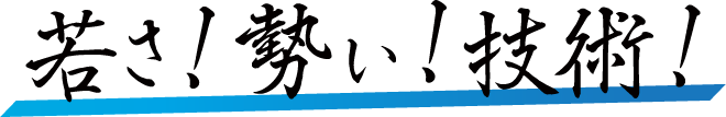 若さ!勢い!技術!